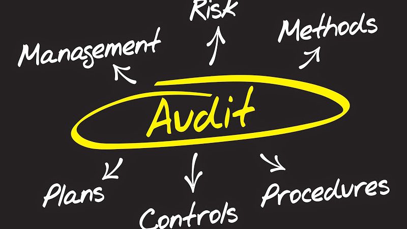 Hygeia Food Safety Auditing Services Audit Manufacturers Shops Restaurants and Food Packaging suppliers